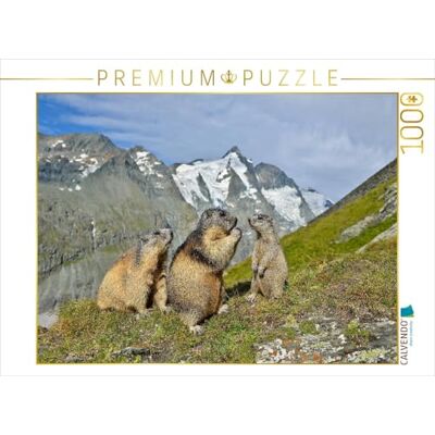 CALVENDO Puzzle Marmottes 1000 Pieces 64 x 48 cm from Alfred Trunk - Publicité CALVENDO Puzzle Marmottes 1000 Pieces 64 x 48 cm from Alfred Trunk - Publicité