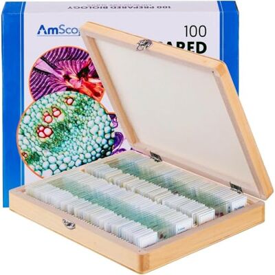 AmScope Lot de 100 Diapositives de Microscope préconçues pour Jeu de biologie à la Maison - Publicité AmScope Lot de 100 Diapositives de Microscope préconçues pour Jeu de biologie à la Maison - Publicité