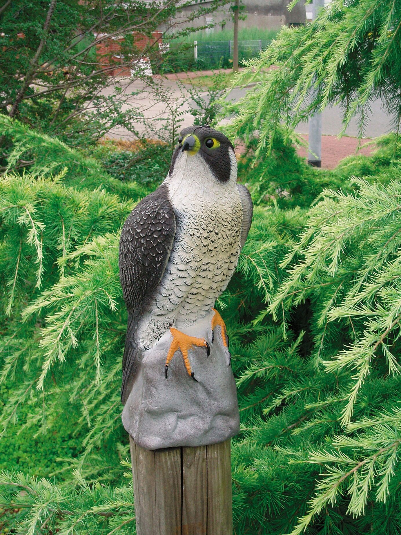 SoArte Elément de décoration "Faucon" SoArte Elément de décoration "Faucon"