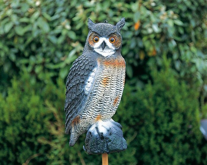 SoArte Elément de décoration "Hibou" SoArte Elément de décoration "Hibou"