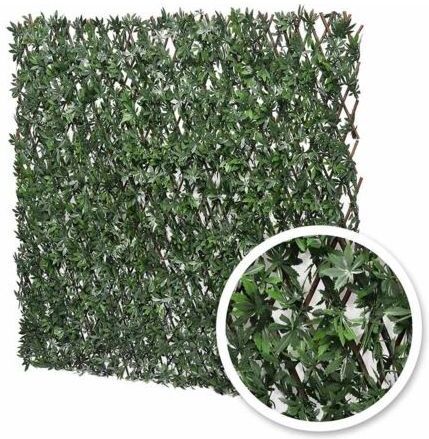 Treillis extensible Vigne Vierge : 1m x 2m (Pré-commande 60 jours) Treillis extensible Vigne Vierge : 1m x 2m (Pré-commande 60 jours)