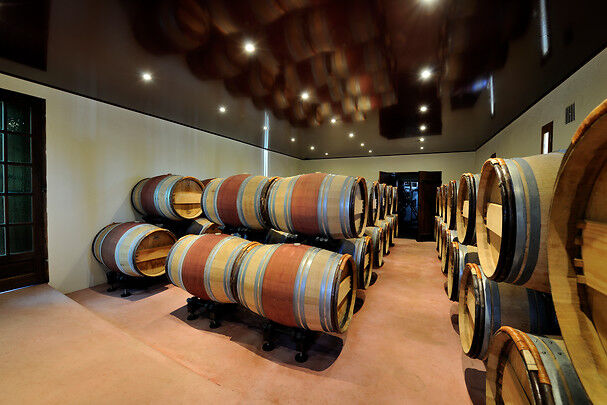 Wonderbox Dégustation de vins - Atelier d??nologie - Vignobles Alain Chaumet proche de Libourne