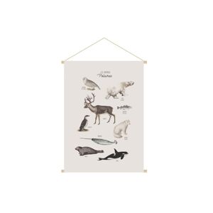 Miliboo Kakemono enfant tableau en toile suspendue illustration animaux polaires L40 x H60 cm POLAR