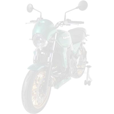 Tête de fourche Ermax Café Racer Noir satin (série Black line) - Publicité Tête de fourche Ermax Café Racer Noir satin (série Black line) - Publicité