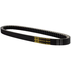 Courroie de transmission Bike It - Publicité Courroie de transmission Bike It - Publicité