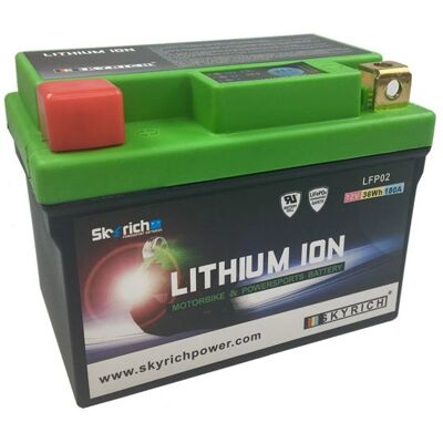 Batterie Skyrich Lithium Ion LFP02Z - Publicité Batterie Skyrich Lithium Ion LFP02Z - Publicité