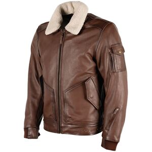 Blouson DXR ALBATROS Brown