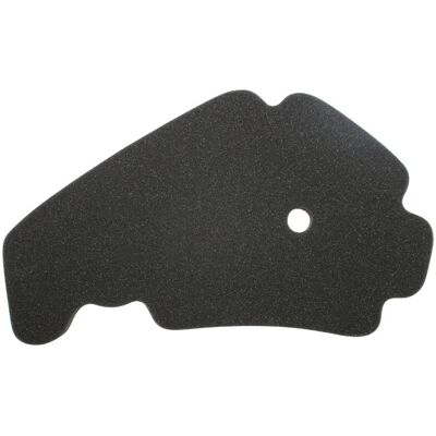 Filtre à air P2R MOUSSE FILTRE A AIR MAXISCOOTER ADAPTABLE PIAGGIO 125 X7, X8, BEVERLY, YOURBAN, 250-300-400-500 MP3-GILERA 125-250-300 NEXUS, 50 - Publicité Filtre à air P2R MOUSSE FILTRE A AIR MAXISCOOTER ADAPTABLE PIAGGIO 125 X7, X8, BEVERLY, YOURBAN, 250-300-400-500 MP3-GILERA 125-250-300 NEXUS, 50 - Publicité