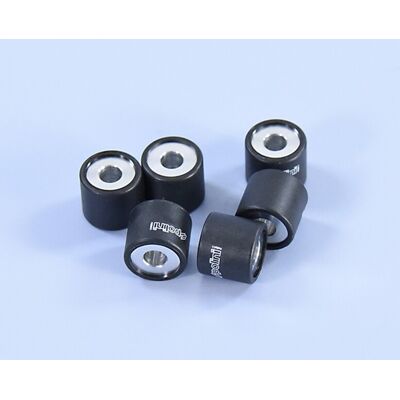 Galets de variateur Polini Jeu 19x17mm 8,4gr - 6 pièces - Publicité Galets de variateur Polini Jeu 19x17mm 8,4gr - 6 pièces - Publicité