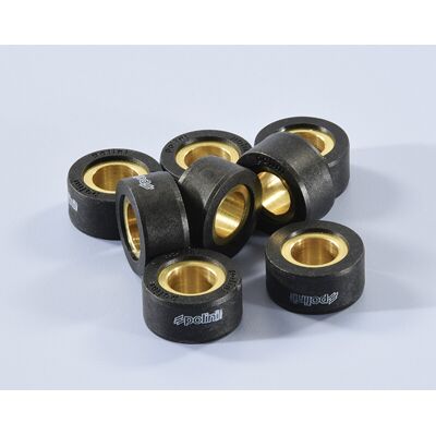 Galets de variateur Polini Jeu 26,1x12,8mm 14,6gr - 8 pièces - Publicité Galets de variateur Polini Jeu 26,1x12,8mm 14,6gr - 8 pièces - Publicité