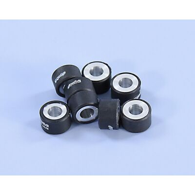 Galets de variateur Polini Jeu 25x17mm 12gr - 8 pièces - Publicité Galets de variateur Polini Jeu 25x17mm 12gr - 8 pièces - Publicité
