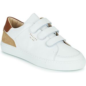 Pellet Chaussures (Baskets) SID 39,40,41,42,43,44,46