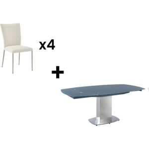 Vente-unique Ensemble table + 4 chaises TALICIA - Gris et Blanc