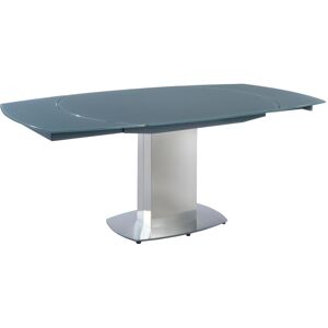 Vente-unique Table à manger extensible TALICIA - Verre trempé & métal - 6 à 8 couverts - Coloris Gris