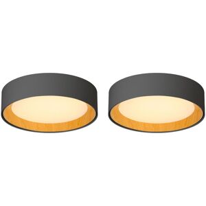 OZAIA Lot de 2 plafonniers LED en métal à intensité variable - D. 45 x H. 11 cm - Noir et naturel - WINDSOR