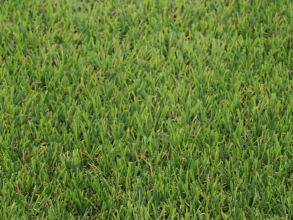 BRICOSOL Gazon synthétique STEPPE - Rouleau 10m² (2x5m) en polyéthylène - Epaisseur 25mm BRICOSOL Gazon synthétique STEPPE - Rouleau 10m² (2x5m) en polyéthylène - Epaisseur 25mm