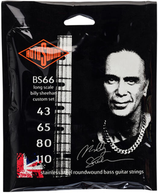 BS66 Billy Sheehan