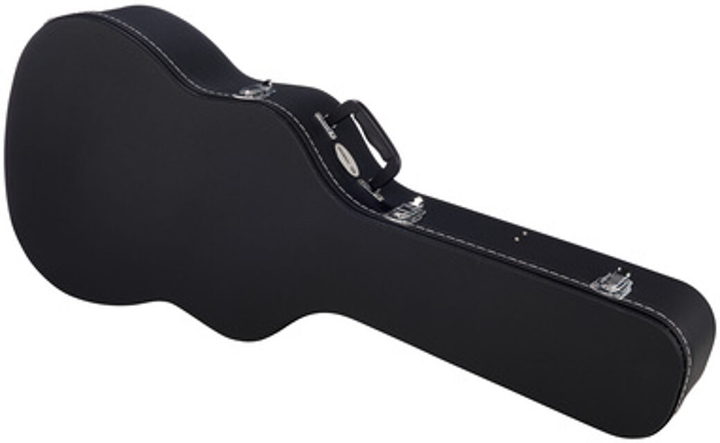 Western Guitar Case