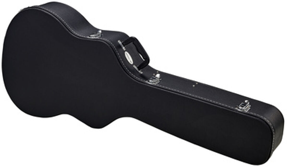 Western Guitar Case 12