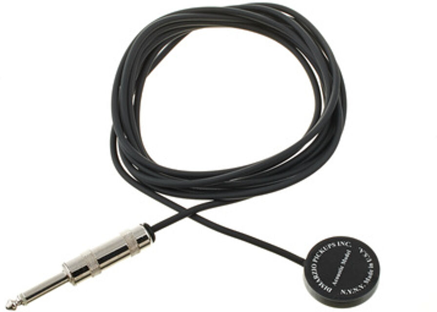 Acoustic DP130