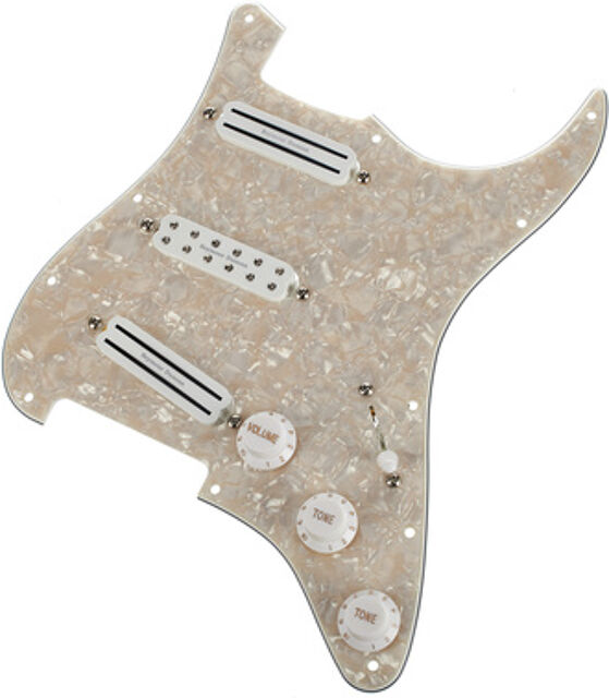 Dave Murray Loaded Pickg. PL