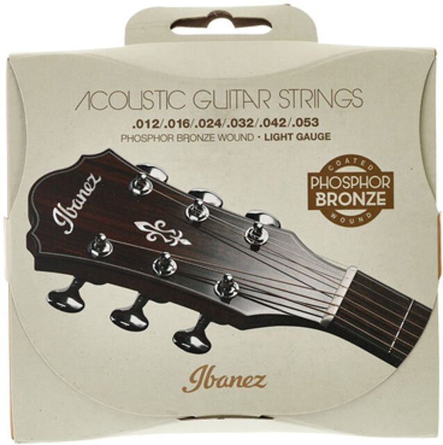 IACSP6C Acoustic Steel Strings