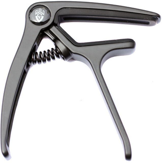 6 & 12 String Ac & E-G Capo