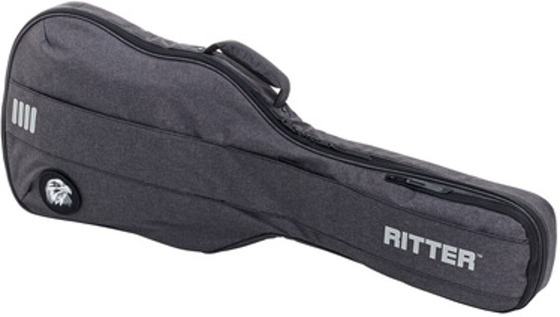Bern Electric Guitar ANT Anthracite