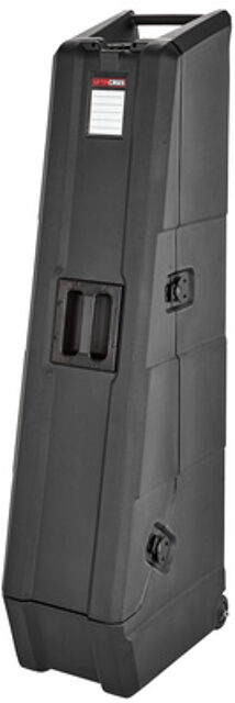 Mini Vault for 2 Bass Guitars