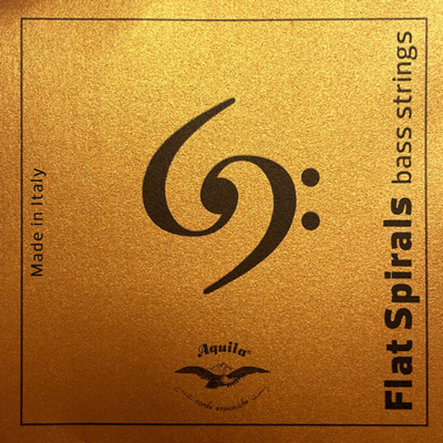 225U Acoustic Bass Single B