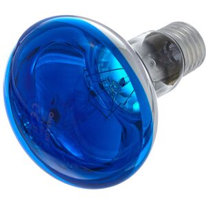 Omnilux R80 Lamp E27 Blue Bleu