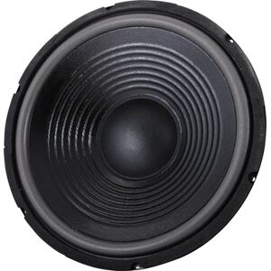 the box 12 Speaker for TT305-H 