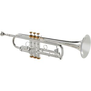 Kühnl & Hoyer Spirit MAW Bb-Trumpet RL silv.