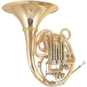 Hans Hoyer K10GA Double Horn