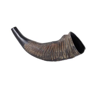 Thomann Water Buffalo Horn