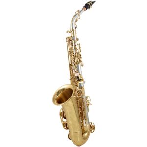 Yanagisawa A-WO30 Elite Alto Sax