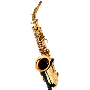 Forestone RX Gold Lacquered Alto Sax