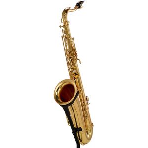 Schagerl Superior Tenor Sax T-1L