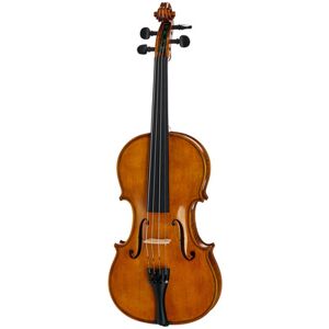 Gewa Georg Walther Violin GY