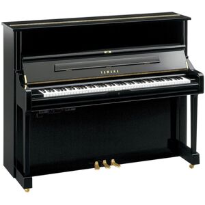 Yamaha U1 TA3 PE