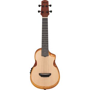 Ibanez AUC10E-OPN Natural