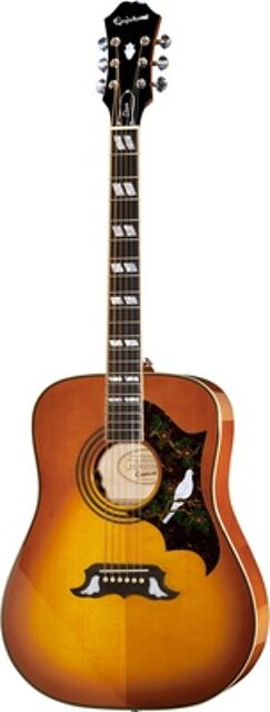 Dove Studio Violin Burst