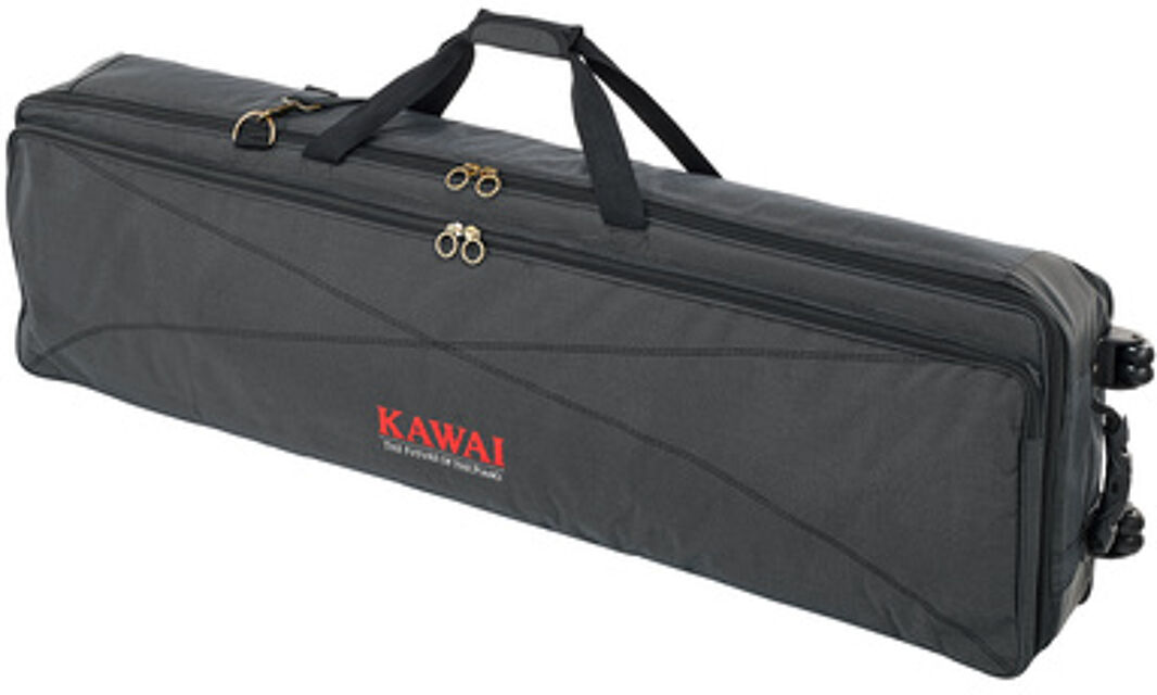 SC-1 Softcase
