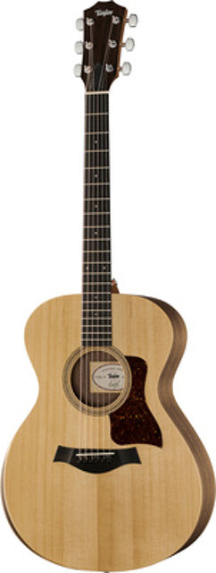 Academy Series 12e Walnut/Spr Naturel