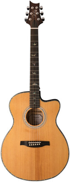 SE A50E BG inc. Case Black Gold Burst