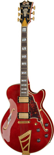 Excel SS Viola Viola