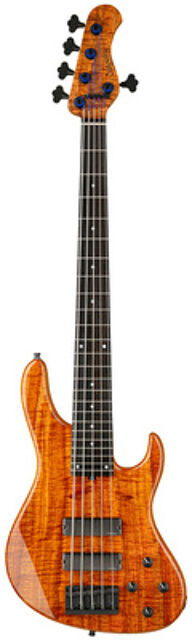 MasterBuilt 24 LTD 5 NTHP Natural Transparent