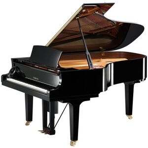 Yamaha D C6 X EN Pro Black Polished