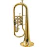 Gerd Dowids BZ-Series Bb-Flugelhorn GL91GP