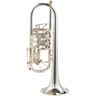 Gerd Dowids BZ-Series C-Trumpet Special